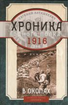 В окопах. 1916 год. Хроника одного полка