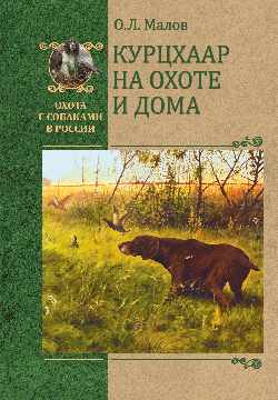 ОССВР Курцхаар на охоте и дома  