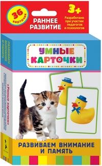 Развиваем внимание и память