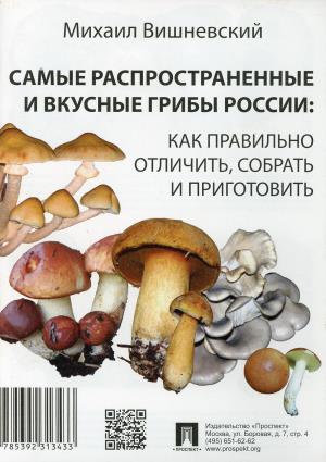 Самые распространенные и вкусные грибы России:как правильно отличить,собрать и п