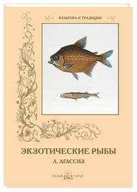 Экзотические рыбы. (м/о)