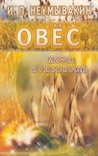 Овес. Мифы и реальность
