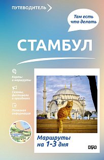 Стамбул. Что там делать. Маршруты на 3 дня