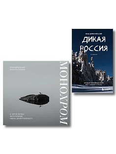 Россия в моем сердце. Подарочный комплект 2-х книг Ивана Дементиевского (ИК)