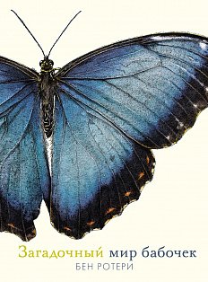 Загадочный мир бабочек