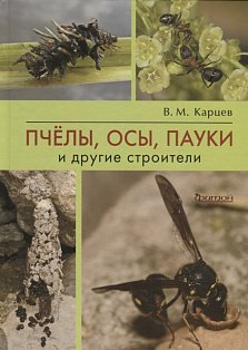 Пчёлы,осы,пауки и другие строители