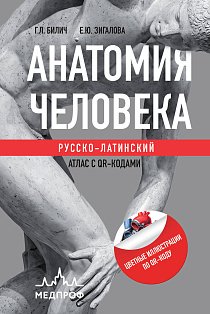 Анатомия человека: Русско-латинский атлас с QR-кодами