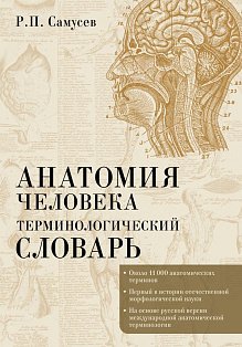 Анатомия человека.Терминологический словарь