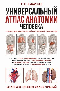 Универсальный атлас анатомии человека с цветными иллюстрациями