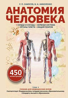 Анатомия человека. Сердце и сосуды, нервная система, органы чувств, общий покров