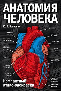 Анатомия человека: компактный атлас-раскраска