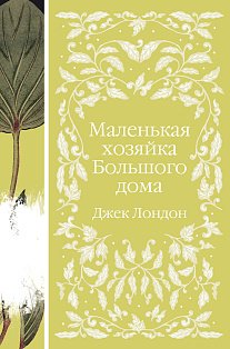 Маленькая хозяйка Большого дома (книга  #4)