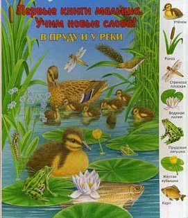 В пруду и у реки