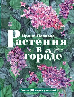Растения в городе