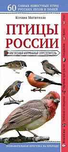 Птицы России. Наглядный карманный определитель (для ПР)