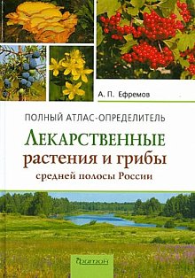 Лекарственные растения и грибы средней полосы России