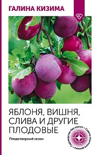 Яблоня, вишня, слива и другие плодовые. Плодотворный сезон