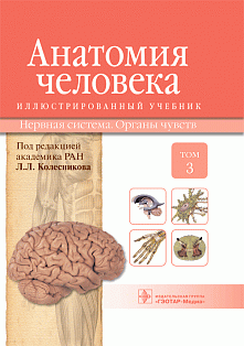 Анатомия человека.Т.3-Нервная система.Органы чувств.Учебник в 3 томах