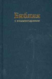 Библия (1179)043DC TI с коммен.(син.)