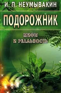 Подорожник.Мифы и реальность